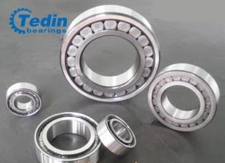 SL18 series full complement cylindrical roller bearings 2